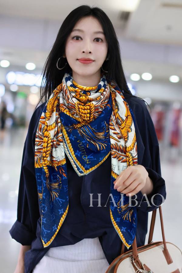 Louis Vuitton Scarf LVC00586